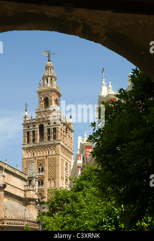 La tour Giralda de Séville, vu à travers l'arche de l'entrée du château. Banque D'Images