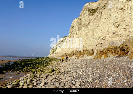 Cap Blanc Nez, Escalles,Pas de Calais, Nord Pas de Calais,France,famille sur la plage Banque D'Images