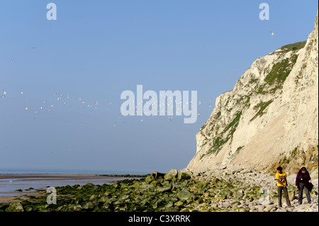 Cap Blanc Nez, Escalles,Pas de Calais, Nord Pas de Calais,France,famille sur la plage Banque D'Images