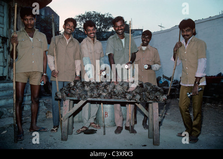 Nuit de tueurs de rats Mumbai exposent leurs travaux. Mumbai, Inde Banque D'Images