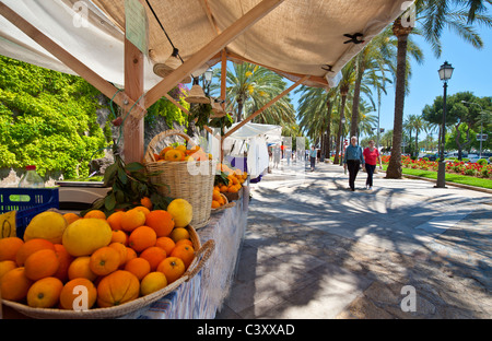 PALMA MARCHÉ PLEIN AIR MARITIMO Visiteurs parcourt les étals de marché en plein air rustique affichant des produits locaux comme les oranges de Majorque Palma Majorque Banque D'Images