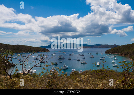 De nombreux bateaux amarrés à Bight Bay donnent sur l'île de Norman avec côte de Tortola à distance en Îles Vierges Britanniques Banque D'Images