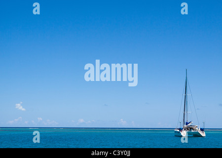 Image à faible densité de catamaran voilier amarré dans l'eau turquoise et bleu ciel en mer des Caraïbes Banque D'Images