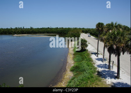 JN 'Ding' Darling National Wildlife Refuge sur Sanibel Island Florida USA Banque D'Images