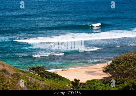 Surfer assis sur une plage hawaïenne Banque D'Images