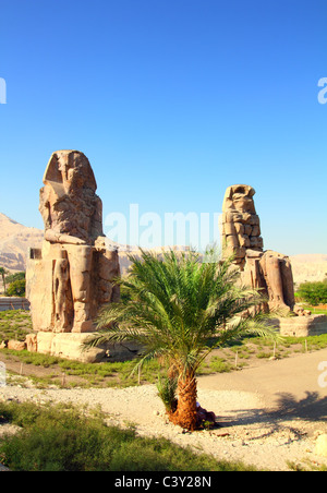 Colosses de Memnon statues gigantesques à Louxor Egypte Banque D'Images