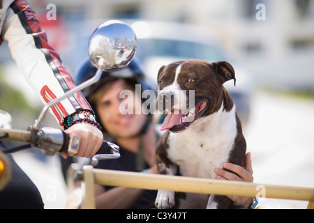 Chien sur une moto Banque D'Images