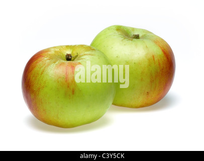 Bramley apples Banque D'Images