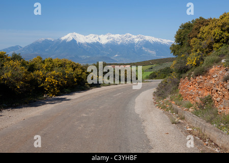 Le Mont Parnasse (2 457 m ou 8 061 ft) près de Delphes, Grèce au printemps Banque D'Images