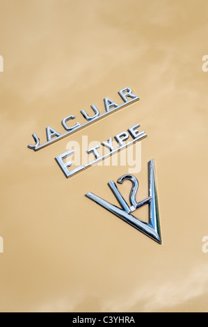 Jaguar E-Type V12 roadster trunk / boot insignes Banque D'Images