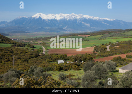 Le Mont Parnasse (2 457 m ou 8 061 ft) près de Delphes, Grèce au printemps Banque D'Images