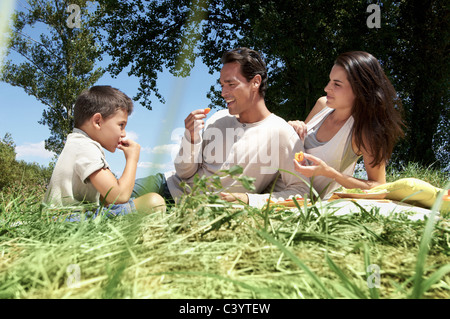 Un pique-nique familial Banque D'Images