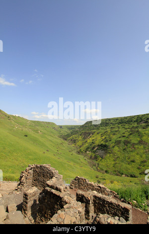 Golan, ruines de Gamla surplombant Nahal Daliyot Banque D'Images