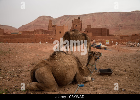 Tamdaght Kasbah Ait Benhaddou proche Banque D'Images