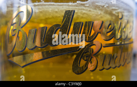 De la bière Budweiser dans un verre avec un logo. Banque D'Images