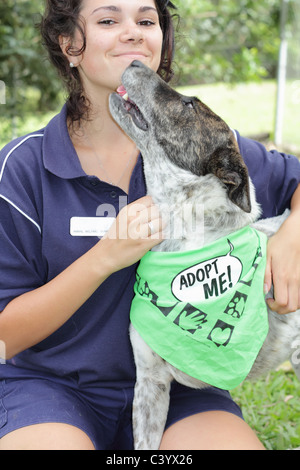 Préposé aux animaux de fourrière locale et chien handicapé Banque D'Images