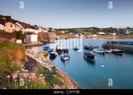 Joli port et des bateaux de pêche à Coverack sur la péninsule de Lizard, Cornwall, Angleterre. Printemps (mai) 2011. Banque D'Images