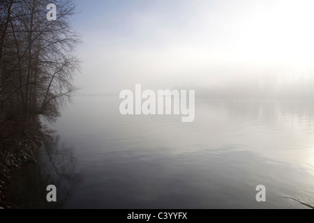 Lifiting brouillard sur le fleuve Fraser, Port Coquitlam, BC Banque D'Images