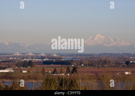 Nouveau pont Golden Ears 2009 sur le fleuve Fraser entre Surrey et Langley, C.-B.). Banque D'Images