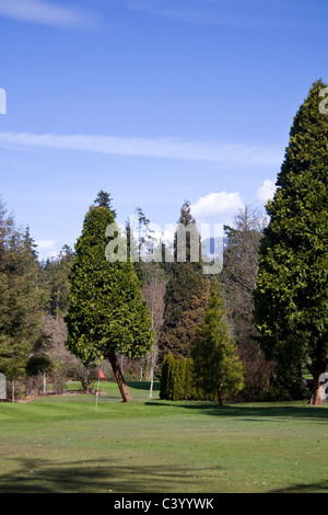 De pitch and putt à Stanley Park, Vancouver BC, Canada Banque D'Images