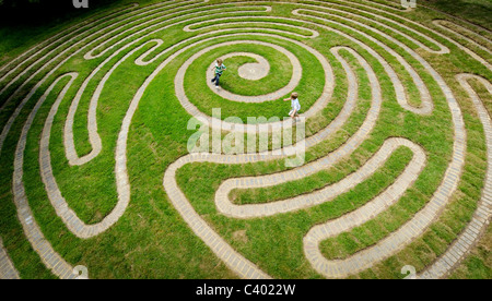 Un inextricable labyrinthe en spirale, inspiré par le modèle sur la base d'un cône de pin s'ouvre à Wakehurst Place, West Sussex. Banque D'Images