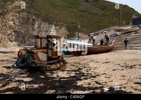 Flamborough Head, East Yorkshire, UK. Banque D'Images