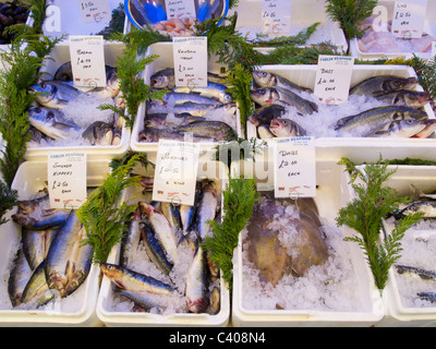 Le poisson frais et fruits de mer en vente sur un étal de marché à Christchurch, Dorset, Angleterre. Banque D'Images