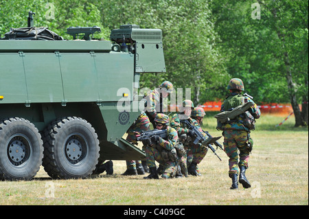 Les soldats d'infanterie belge tirant près de Mowag Piranha IIIC véhicule blindé de combat pendant l'exercice, Belgique Banque D'Images