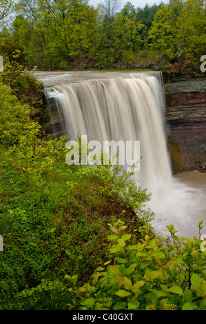 La cascade de Balls Falls, Ontario, Canada. Banque D'Images