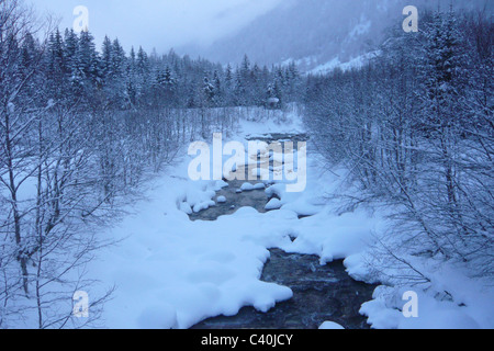 Suisse, Valais, Valais, haut bois, hiver, le Rhône, le bois, la forêt, la neige, la neige, la neige Banque D'Images