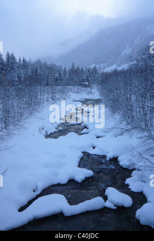 Suisse, Valais, Valais, haut bois, hiver, le Rhône, le bois, la forêt, la neige, la neige, la neige Banque D'Images