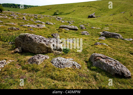 De grandes pierres sarsen une doublure chalk sec vallée sur la réserve naturelle nationale de Fyfield vers le bas dans le Wiltshire Banque D'Images