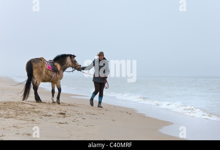 Woman walking on beach poney sur jour de vent sur la côte de la mer du Nord en Belgique. Banque D'Images