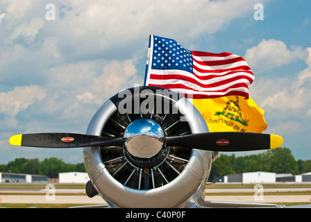 La DEUXIÈME GUERRE MONDIALE avion de chasse battant le drapeau américain et le drapeau Gadsden qui lit 'Don't tread on me' Banque D'Images