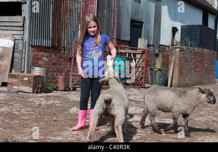L'agneau de printemps étant nourries par jeune fille Banque D'Images