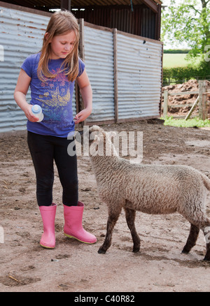L'agneau de printemps étant nourries par jeune fille Banque D'Images