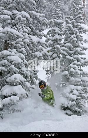 Planchiste exécute un saut à ski de Brighton dans les montagnes Wasatch. Salt Lake City, Utah, United States, Amérique du Nord Banque D'Images