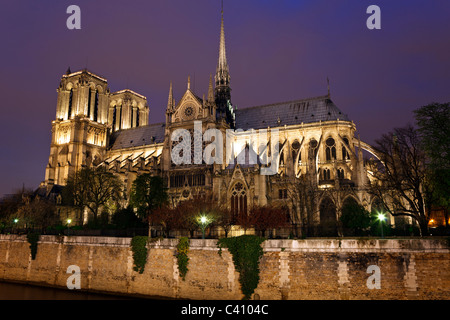 Notre Dame de Paris la nuit. Vue sur cathédrale de l'autre côté de la Seine. Banque D'Images