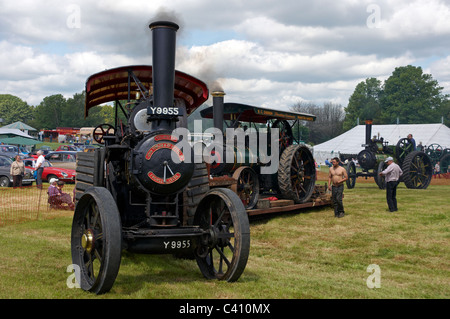 Les moteurs de traction à vapeur, un bain à vapeur et un bain à vapeur rouleaux lourds à la Bill Targett Vapeur et Memorial Vintage Rally 2011. Banque D'Images