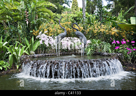 Deux de bronze Sculptures de grue dans une fontaine à la National Orchid Garden Singapour République de Singapour Asie Banque D'Images