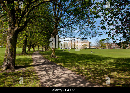 Le Stray au printemps, Harrogate, North Yorkshire Banque D'Images