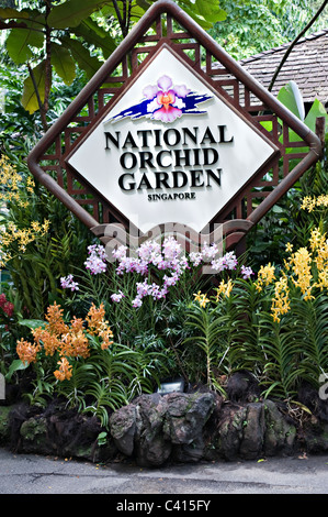 Fleurs d'orchidées sur l'affichage à l'entrée de la National Orchid Garden Singapour République de Singapour Asie Banque D'Images