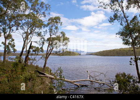 Chemin de fer de la baie de l'ida la Tasmanie, en Australie. Début de l'été, 2010 Banque D'Images