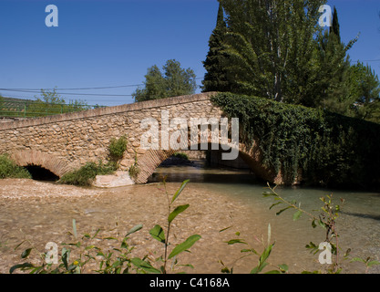 Les eaux claires DU RIO FRIO leur chemin sinueux PASSÉ EN AVAL DES ARBRES MAGNIFIQUES RIOFRIO andalousie espagne sous pont romain Banque D'Images