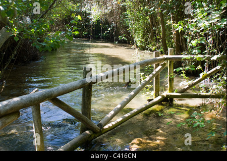 Les eaux claires DU RIO FRIO leur chemin sinueux PASSÉ EN AVAL DE BEAUX ARBRES RIOFRIO Andalousie Espagne Banque D'Images