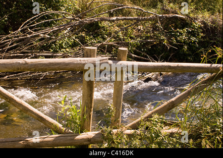 Les eaux claires DU RIO FRIO leur chemin sinueux PASSÉ EN AVAL DE BEAUX ARBRES RIOFRIO Andalousie Espagne Banque D'Images