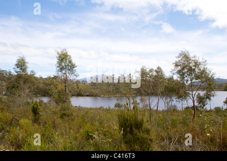 Chemin de fer de la baie de l'ida la Tasmanie, en Australie. Début de l'été, 2010 Banque D'Images