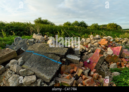 Décombres déposés illégalement. Les décharges sauvages des déchets de démolition dans la campagne, Lancashire, England, UK Banque D'Images