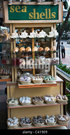 Un étal vendant des coquillages dans un marché de rue dans Chinatown Singapour République de Singapour Asie Banque D'Images