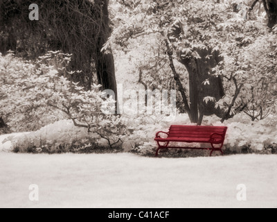 Banc de parc photographié dans l'Infrarouge Eugene, Oregon Banque D'Images